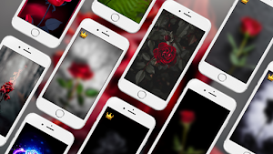 Rose Live Wallpapers PRO Screenshot 0