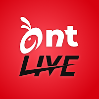 Antlive