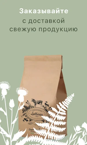 Латтерия1963 Screenshot 1