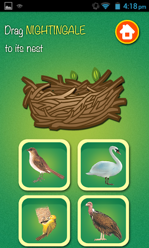 Learn Birds Name - Birds Picture & Sound Screenshot 3