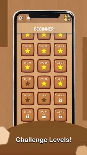 Block Escape : Silding Puzzle Screenshot 1