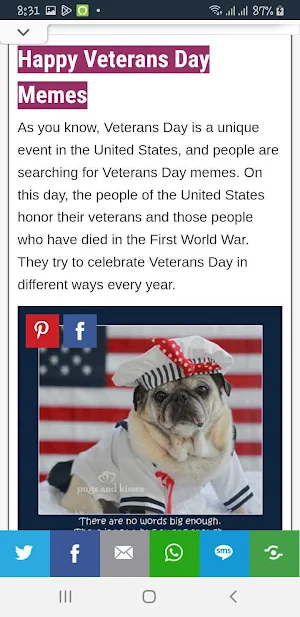 Happy Veterans Day Screenshot 2