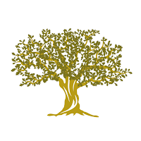 Forest FP