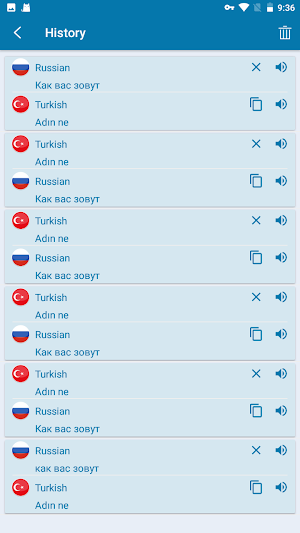 Russian Turkish Translation Screenshot 2