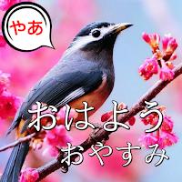 Japanese Good Morning to Night