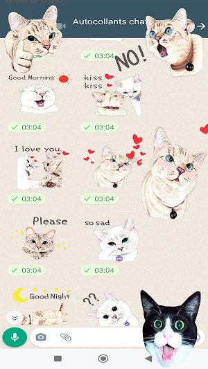 Cat Tiger WASticker Screenshot 3