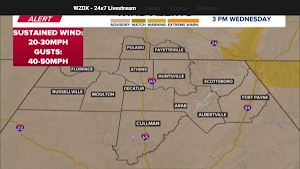 FOX54+ Screenshot 2