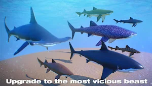 Shark Simulator 2019 Screenshot 2