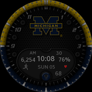 Michigan Premium Watchface Screenshot 3