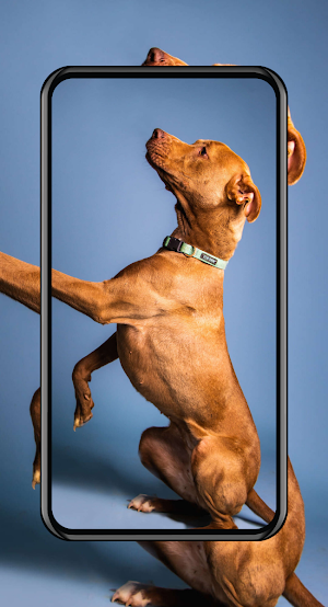 Cute Puppies Wallpapers Screenshot 3
