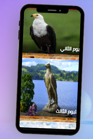 خلفيات صقور Screenshot 2