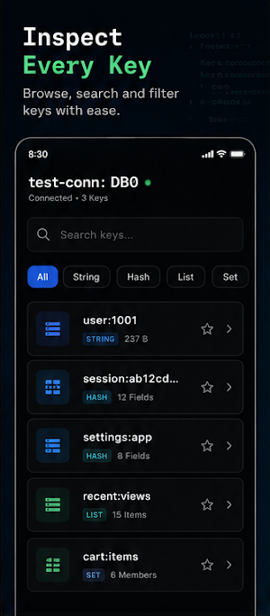 Redis Explorer Screenshot 1