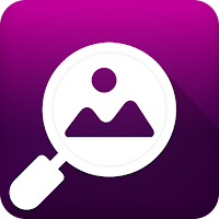 Reverse Image Search