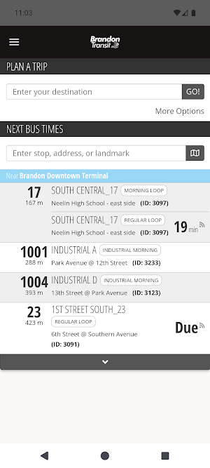 BDN Transit Screenshot 0