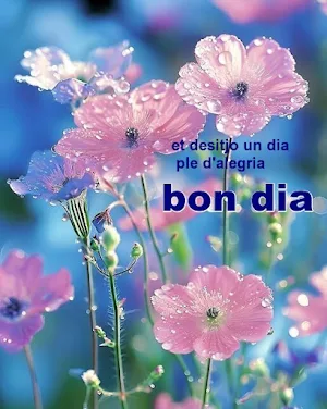 bon dia bona nit bona tarda Screenshot 3