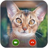 Cat fake video Call/Chat Prank