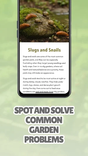No Dig Vegetable Garden Screenshot 3