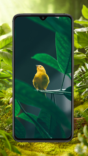 Bird Wallpaper Screenshot 0