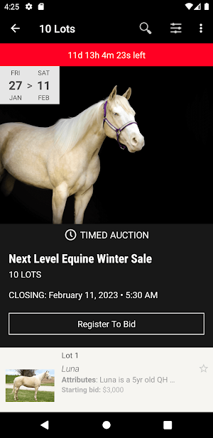 Next Level Equine Screenshot 1