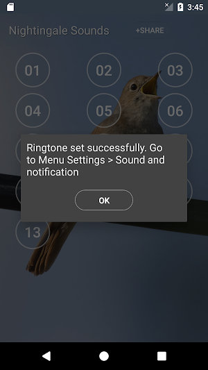 Nightingale Bird Sound Ringtones Screenshot 3