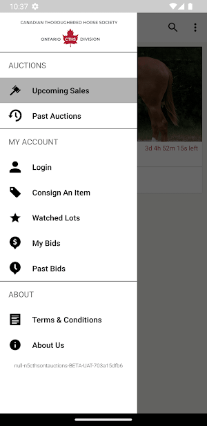 CTHS ONT Auction Screenshot 3