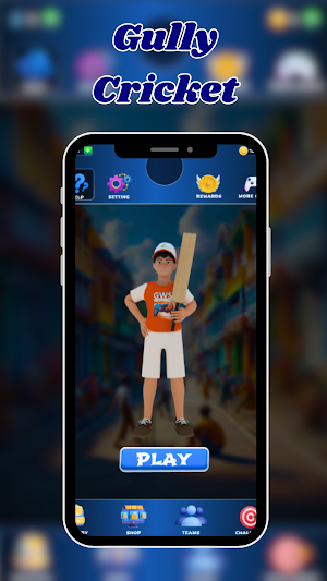 GWS Indian Street Cricket Screenshot 1