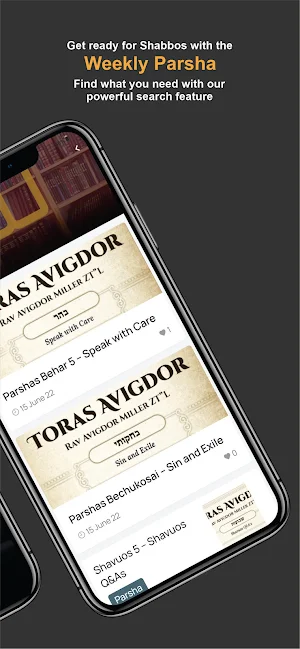 Toras Avigdor Miller screenshot 2