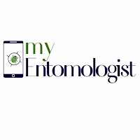 MyEntomologist