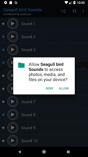 Seagull bird sounds ~ Sboard.pro Screenshot 1