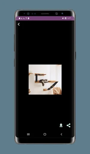 Cat Wall shelves Screenshot 0