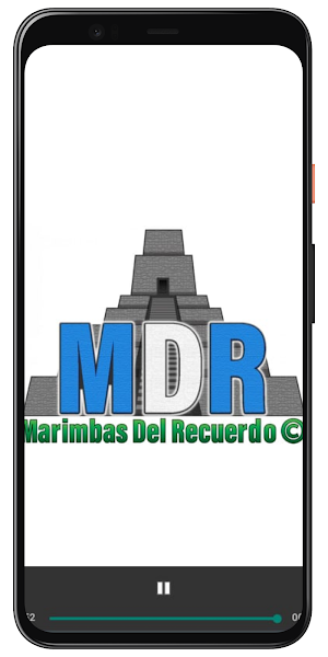 Marimbas del Recuerdo Screenshot 0