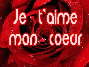 JE T'aime MON Amour Screenshot 3