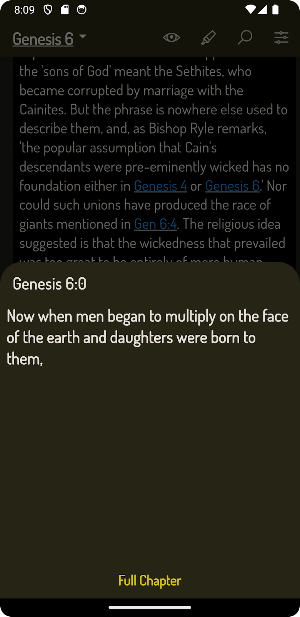 Berean Study Bible Offline Screenshot 1