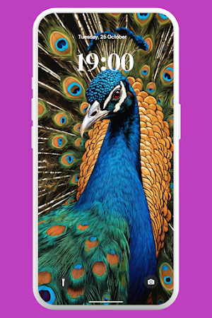 Beautiful Peacock Wallpaper 4K Screenshot 2