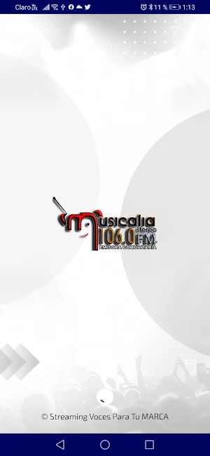 Musicalia Stereo Screenshot 0
