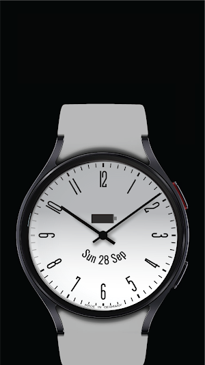 Antiqua Watch Face Screenshot 3