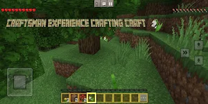 Craftsman Experience 3D Craft Screenshot 3
