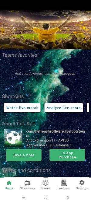 Live Football Streaming Screenshot 0