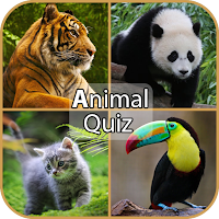 Animal Quiz