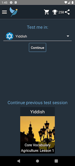 Yiddish Language Tests Screenshot 0