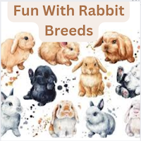 Fun with Rabbit Breeds