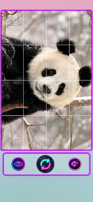 Puzzle Fever: Pandas Screenshot 2