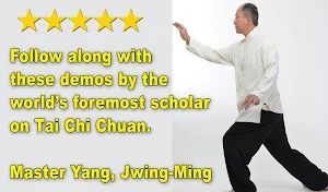 Tai Chi 13 Postures Screenshot 3