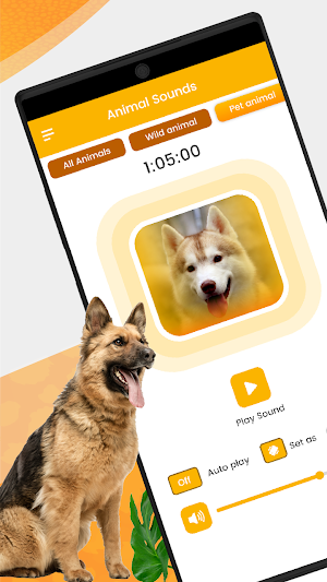 Animal Sounds Animal Ringtones Screenshot 3