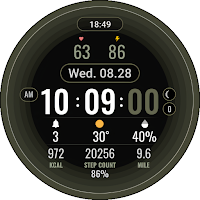 Digital Gyro110