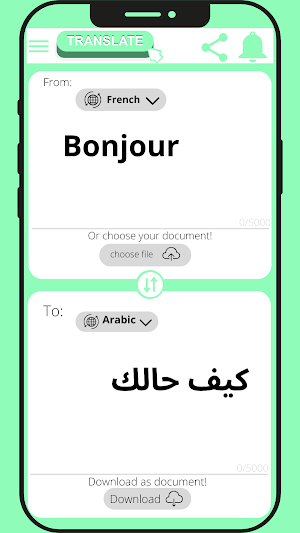 French - Arabic Translator Screenshot 2