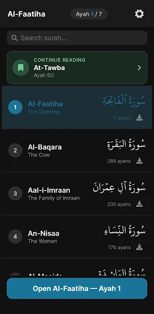 Quran Project Screenshot 1