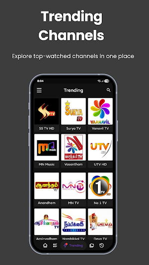 Tamil Live TV Online Screenshot 2