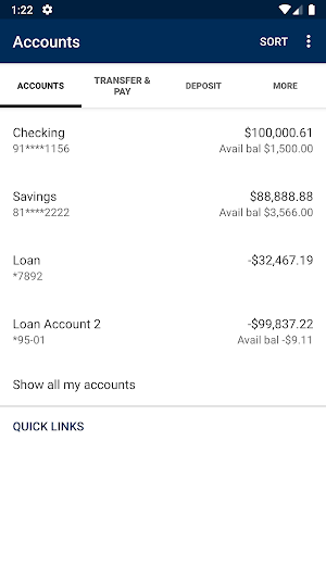 Merck EFCU Mobile Banking Screenshot 2