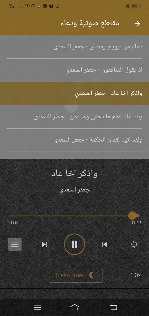 جعفر السعدي قران ورش بدون نت Screenshot 0